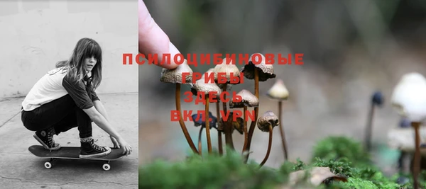 не бодяженный Арсеньев