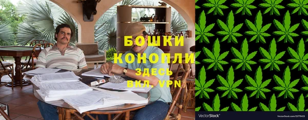 spice Аркадак