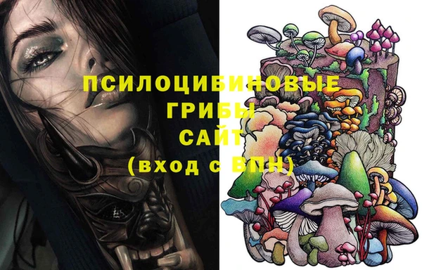 не бодяженный Арсеньев
