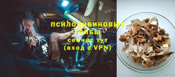 первитин Армянск