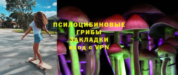 spice Аркадак