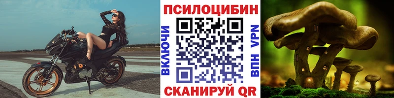 купить наркотики цена  Унеча  Галлюциногенные грибы ЛСД 